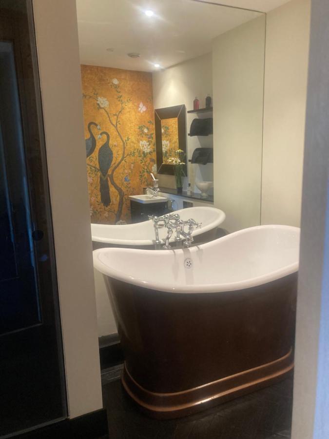 Apartment Luxury Designer River View Of Parliament Westminster Big Ben.