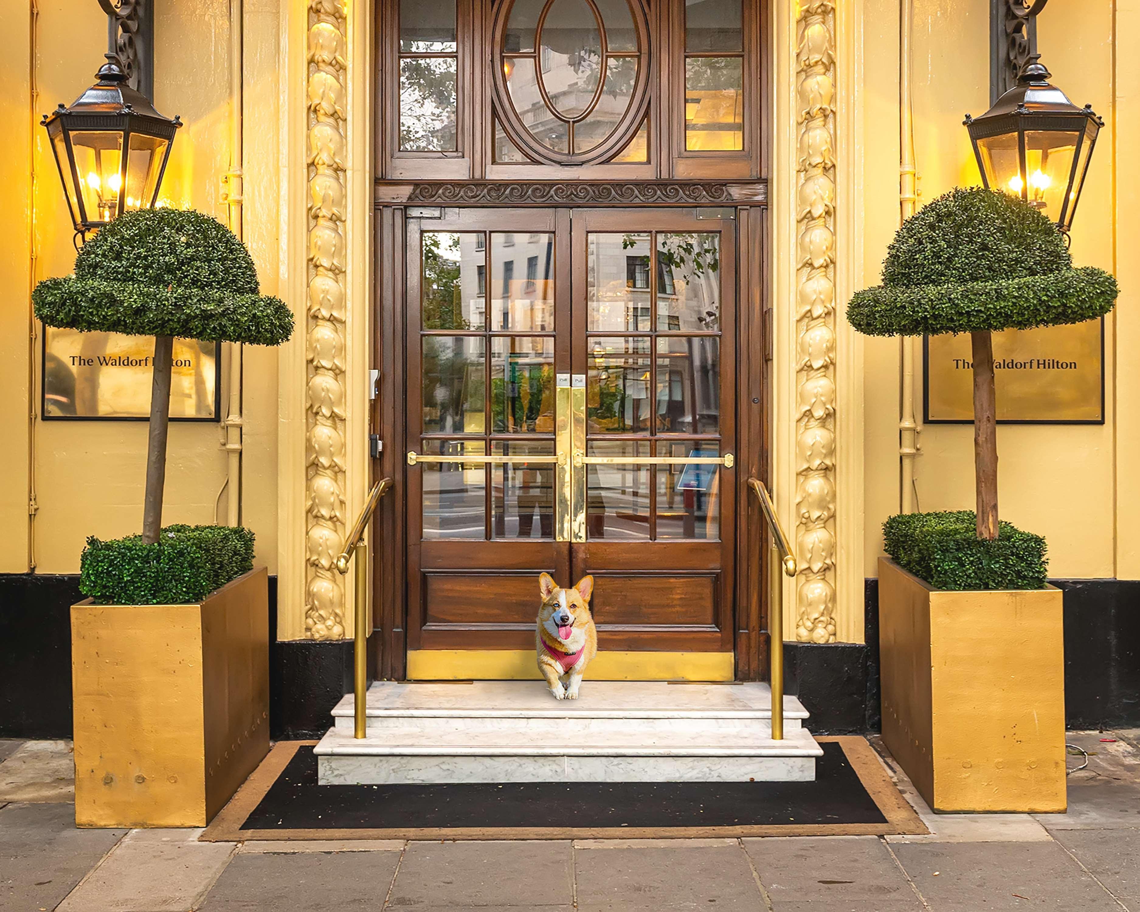 The Waldorf Hilton 4* London
