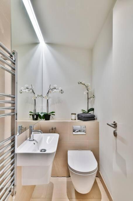 Knightsbridge/chelsea Penthouse Apartment