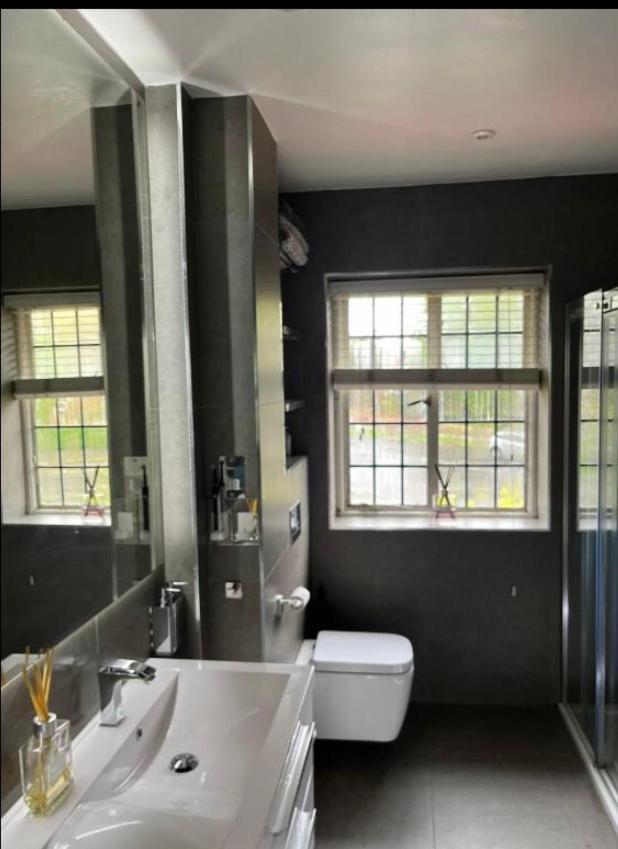 Gasthof Wandsworth, South Deluxe King 4 *