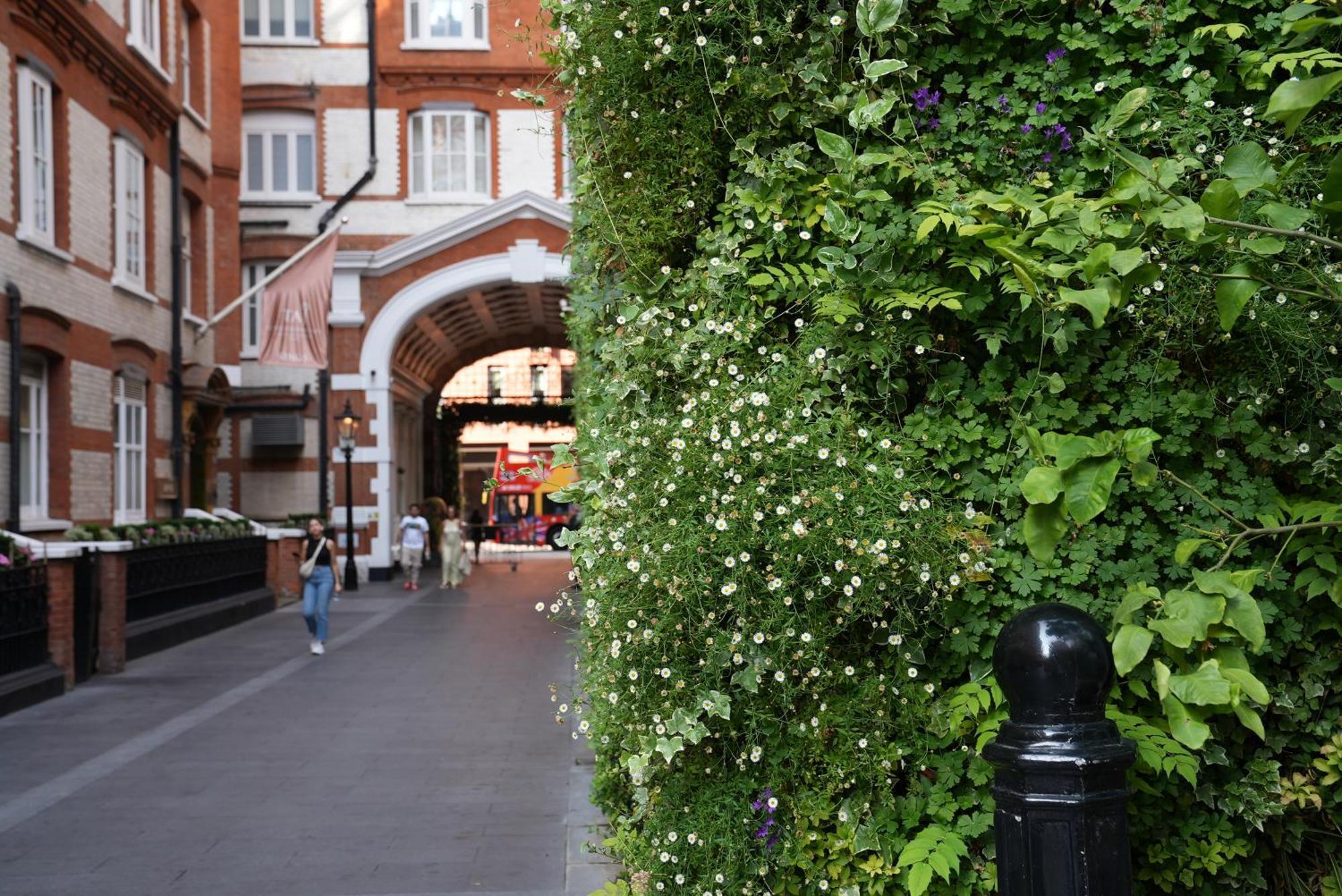 St. James' Court, A Taj Hotel, 4* London