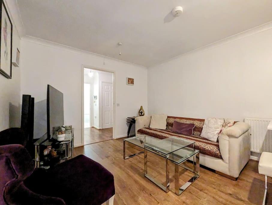 Large, Plant Filled Flat With Balcony Apartment