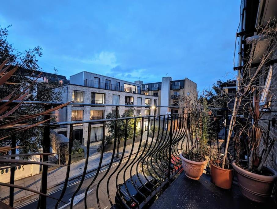 Large, Plant Filled Flat With Balcony Apartment