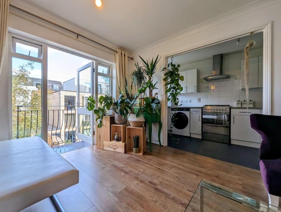 Apartment Large, Plant Filled Flat With Balcony