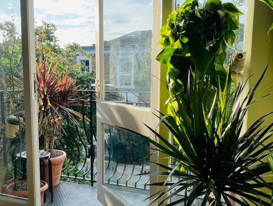 Large, Plant Filled Flat With Balcony Apartment
