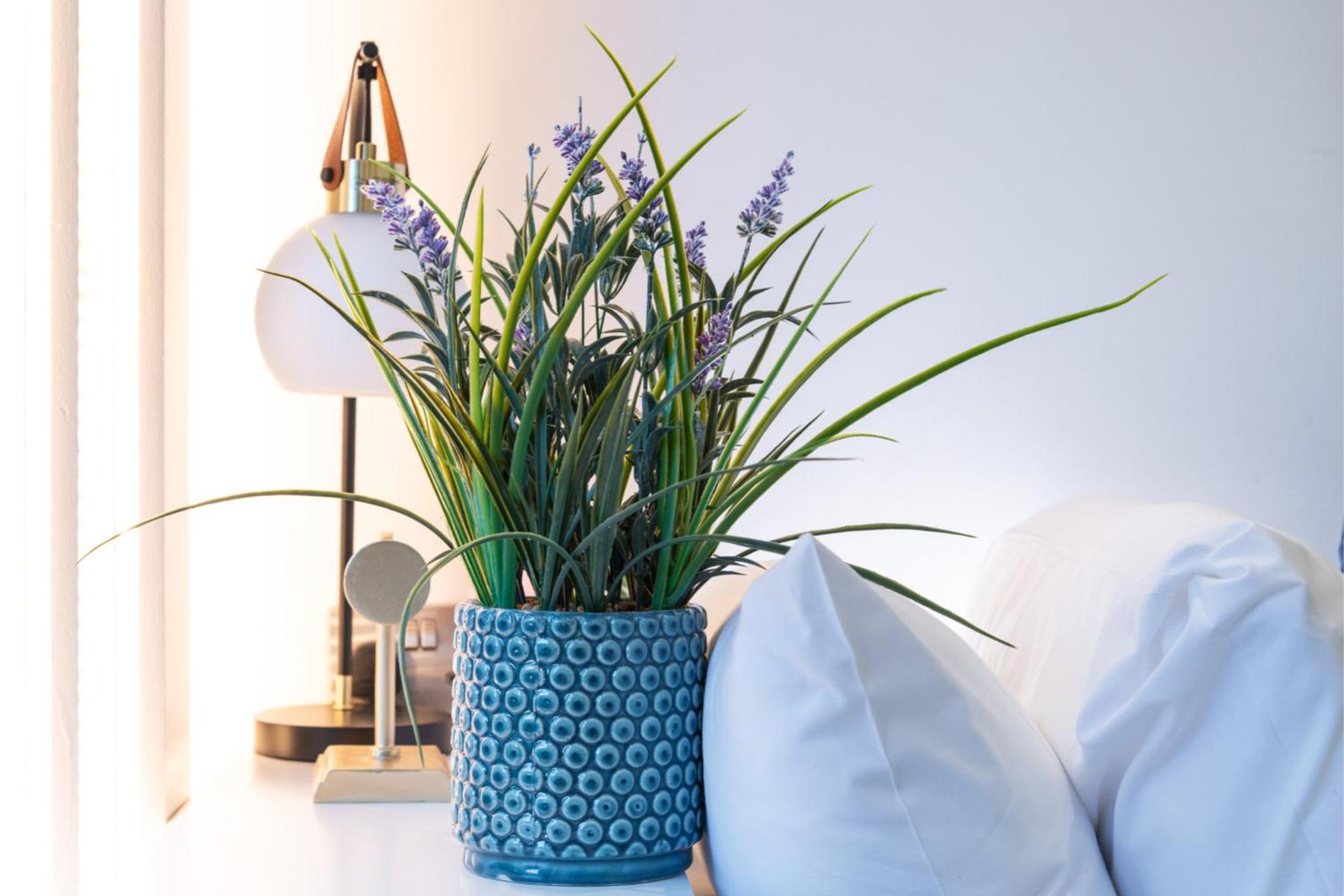 Cosy In Great Location! London