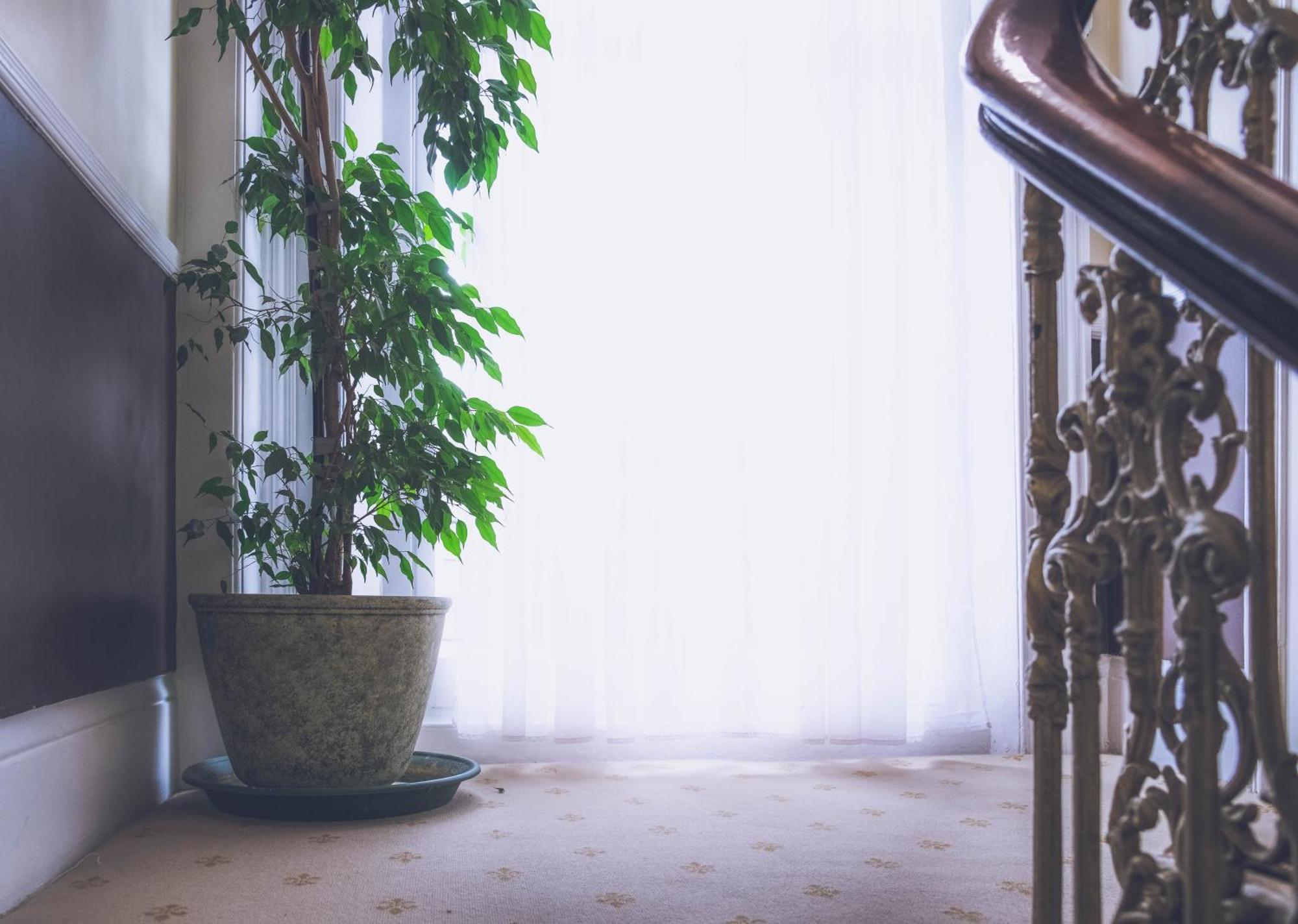 Hotel Shakespeare London