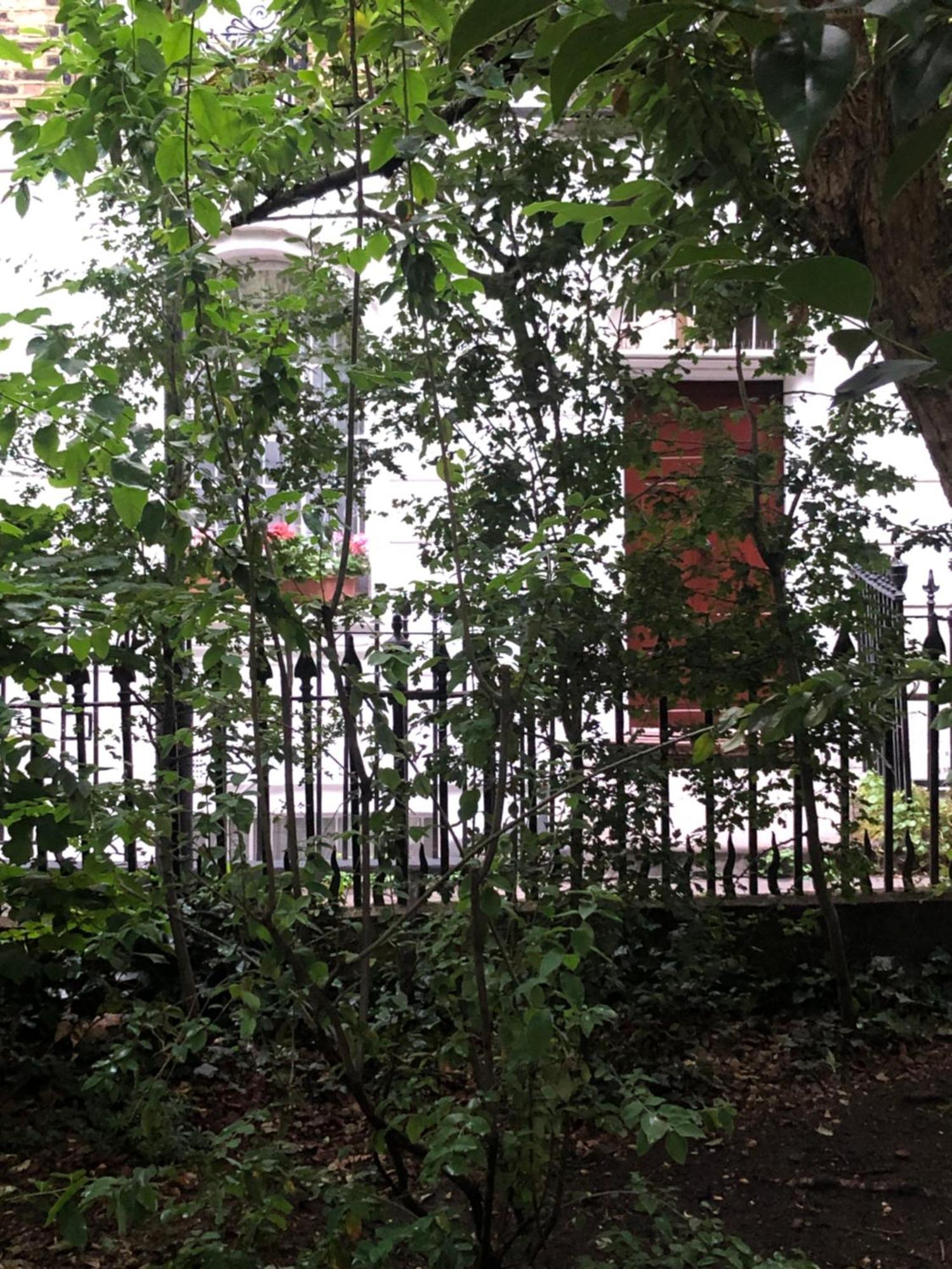 Gorgeous Grade Ii Listed Georgian House - Leafy Square Views - Casa de férias Londres