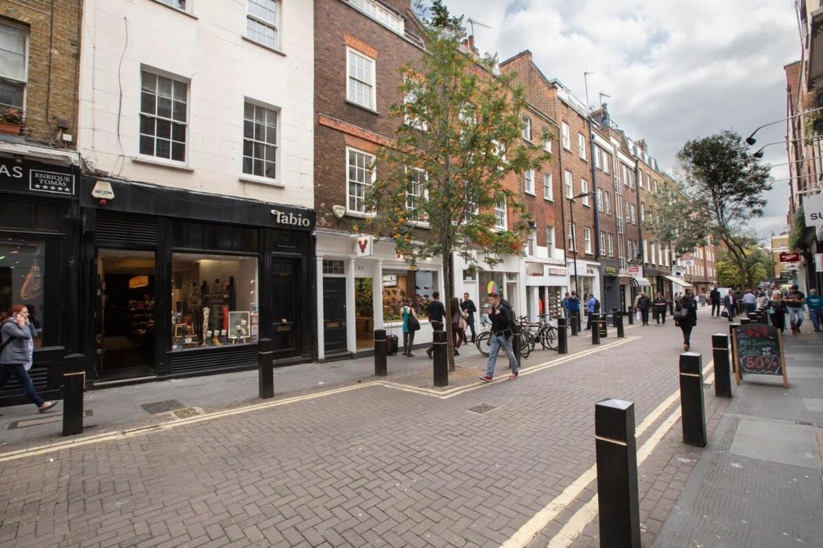 Stylish With Private Rooftop In Covent Garden Apartment