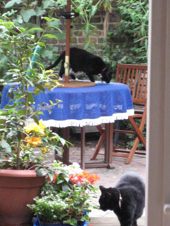 Homestay Holmewood London