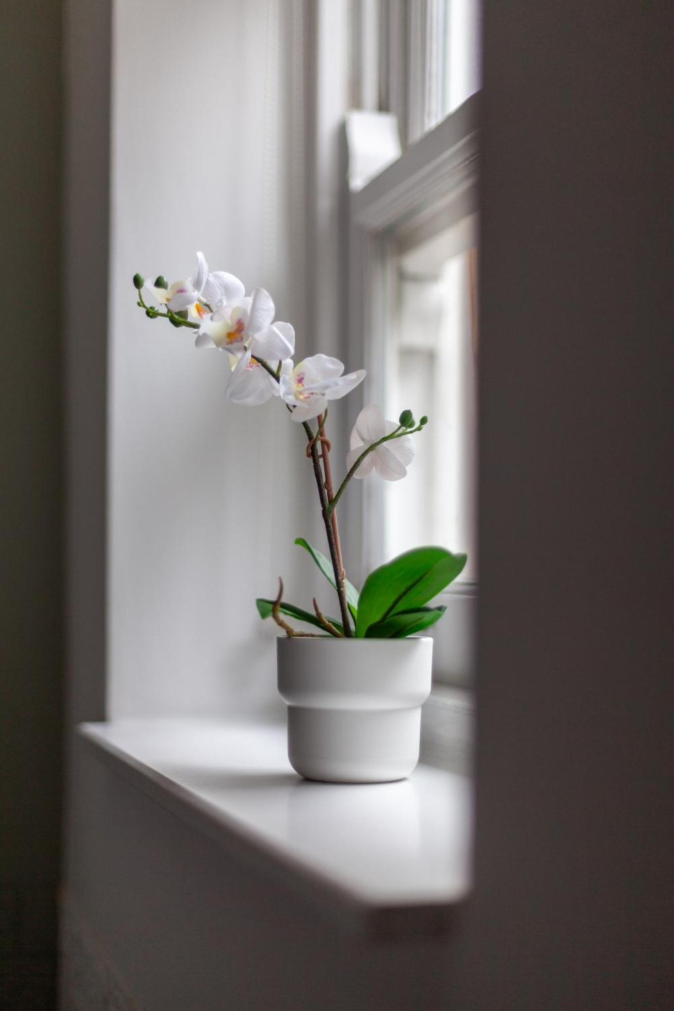 The Hackney Luxury Flat London