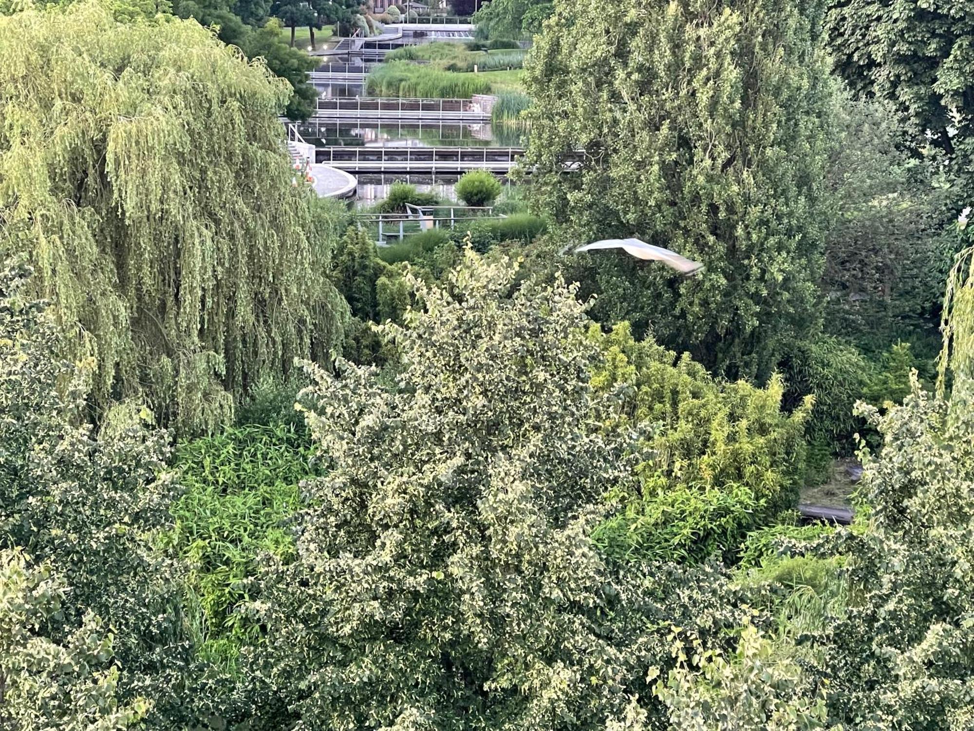 Apartment Waterfall Oasis: Luxury Wembley With Parking