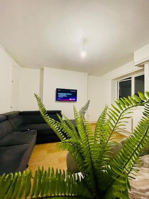 Apartment 2bd Canarywharf Mile End Private Balcony Free Parking London