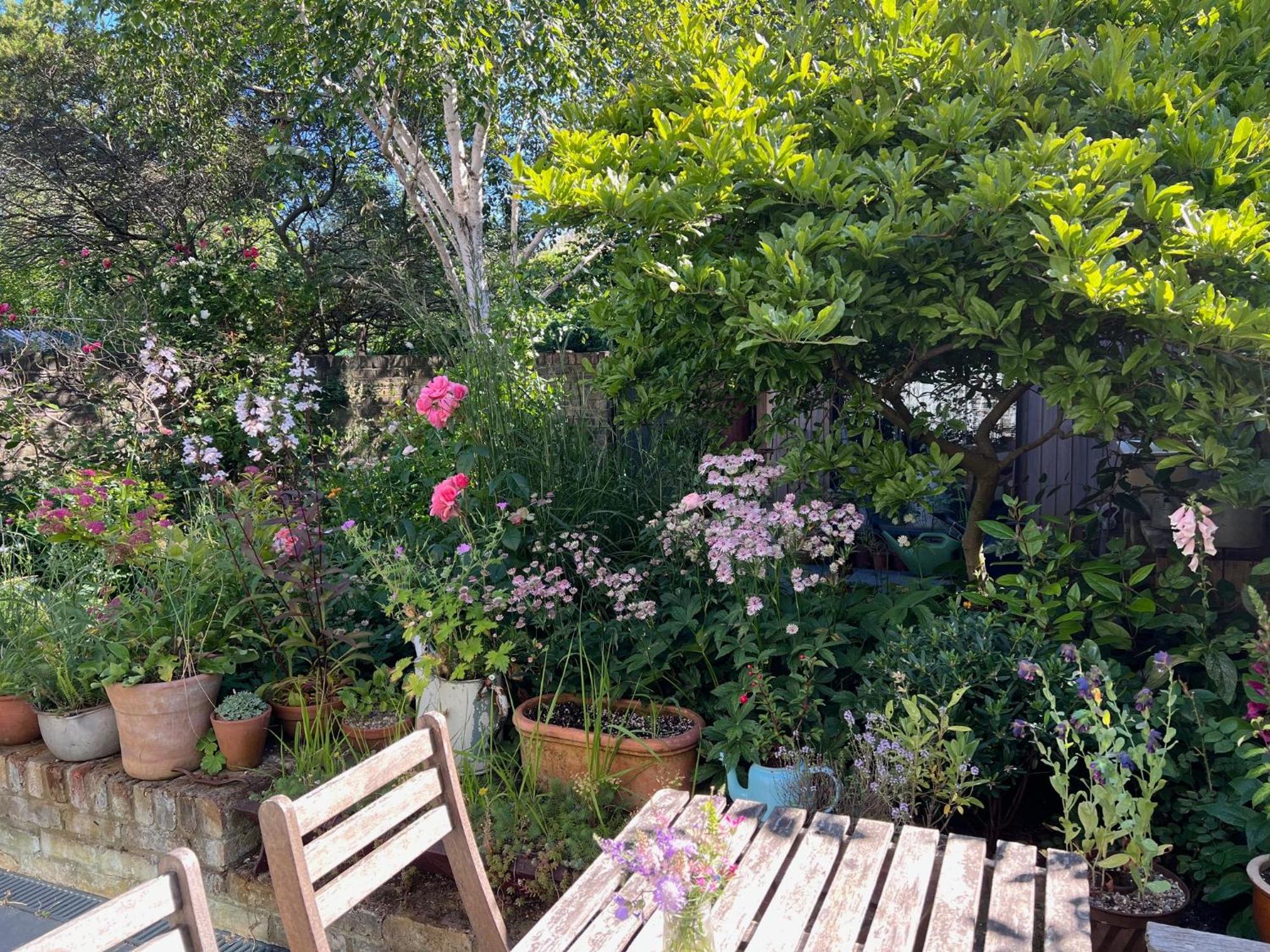 Bright And Elegant 2 Bedroom Flat, Near Notting Hill * London