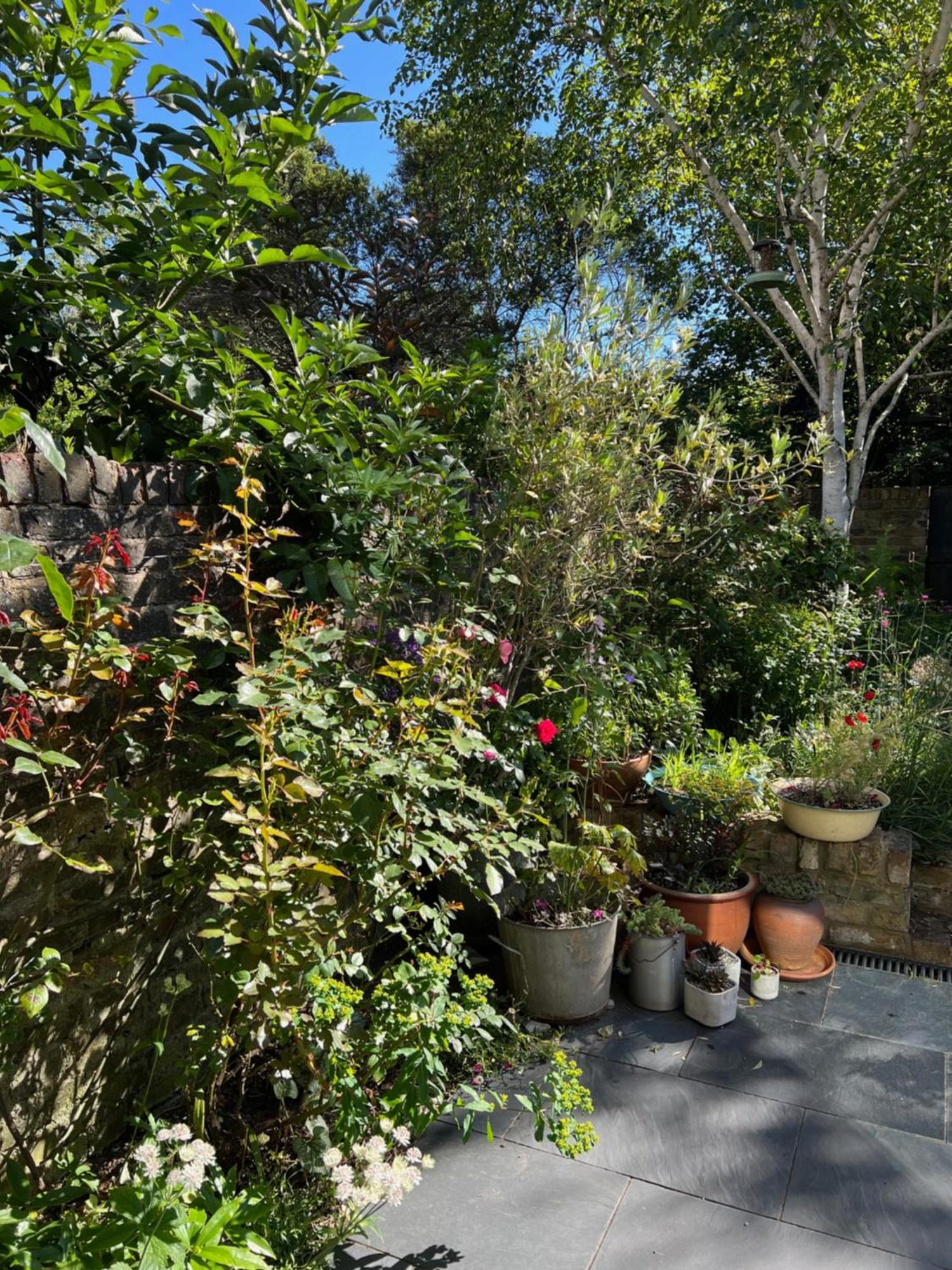 Bright And Elegant 2 Bedroom Flat, Near Notting Hill