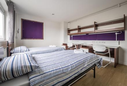 Apartamento Lse Carr-saunders Hall *