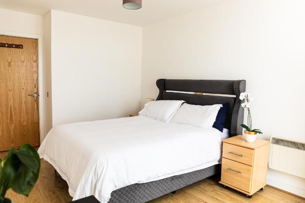 Whitechapel Two Bedroom Luxury - Free Private Parking - Views Apartment