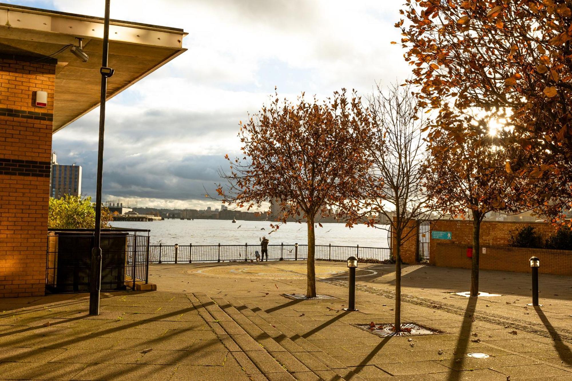 Lit 2br Flat With Balcony Near Canary Wharf, 1min Dlr Apartment