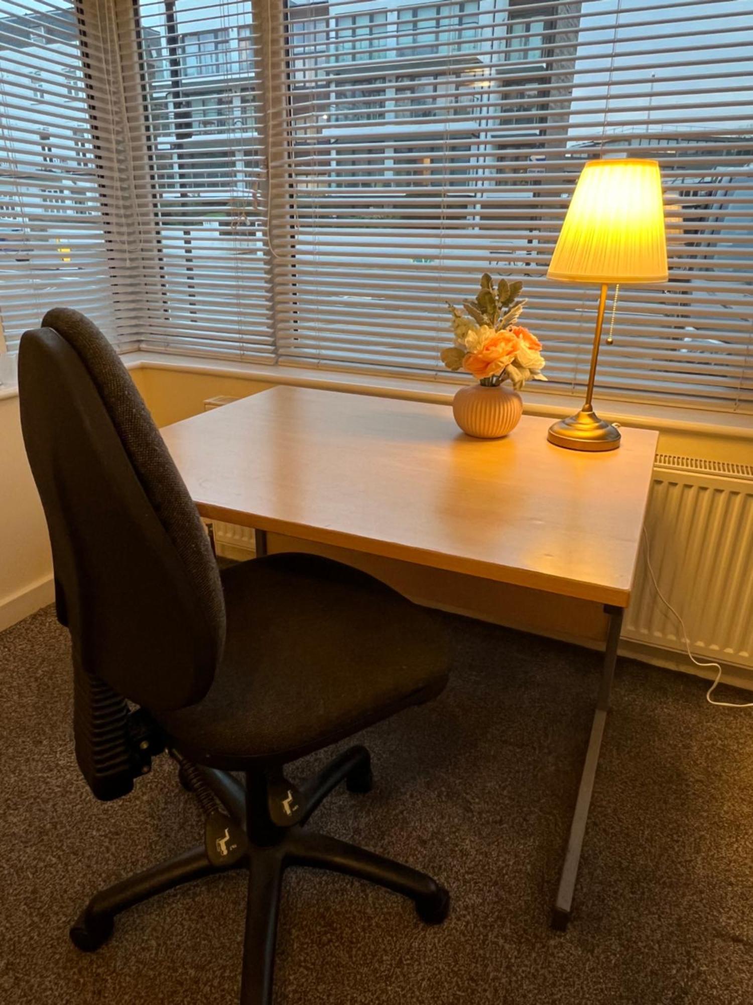 Fabulous & Spacious Garden Flat Near Kings Cross St Pancras London