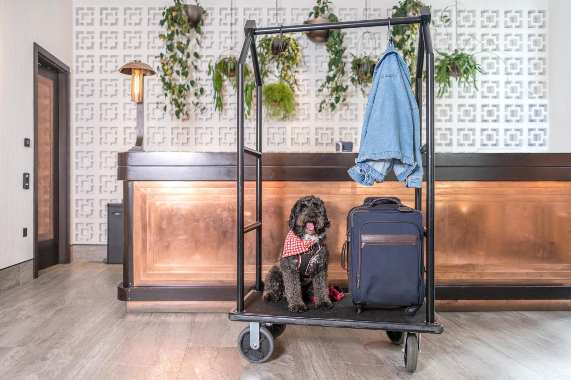 Hart Shoreditch London, Curio Collection By Hilton Hotel 4*