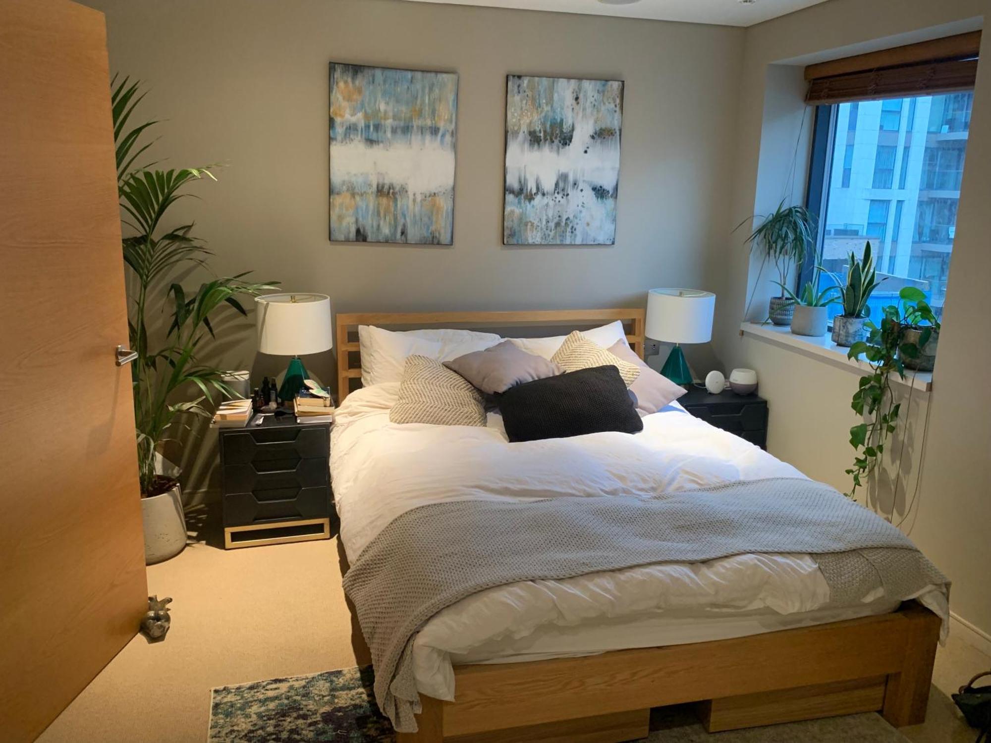 Modern 3 Bedroom In Paddington Apartment