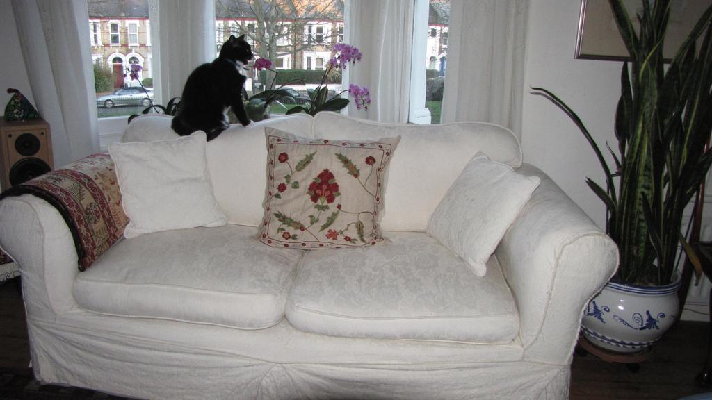 Homestay Holmewood London