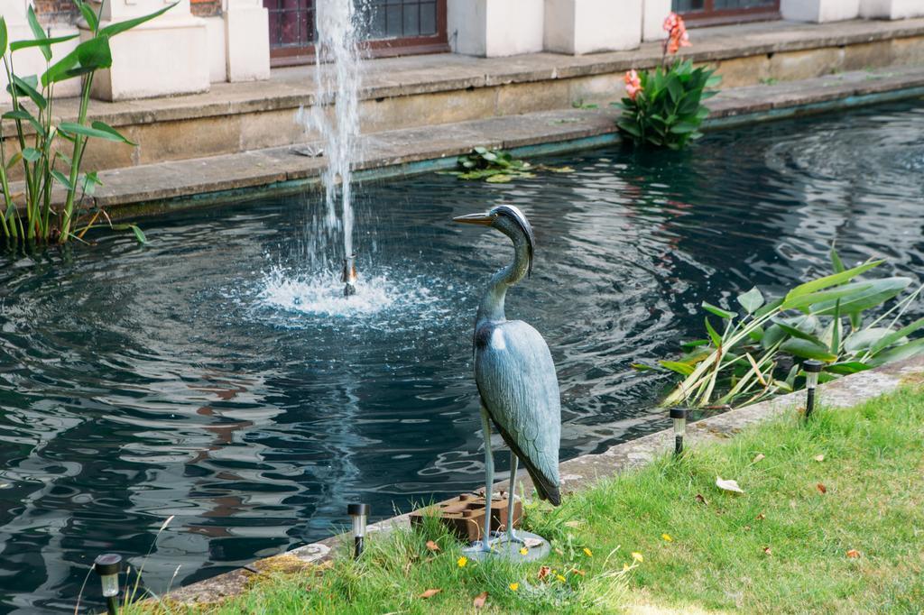 Albergue Safestay Kensington Holland Park (adults Only)