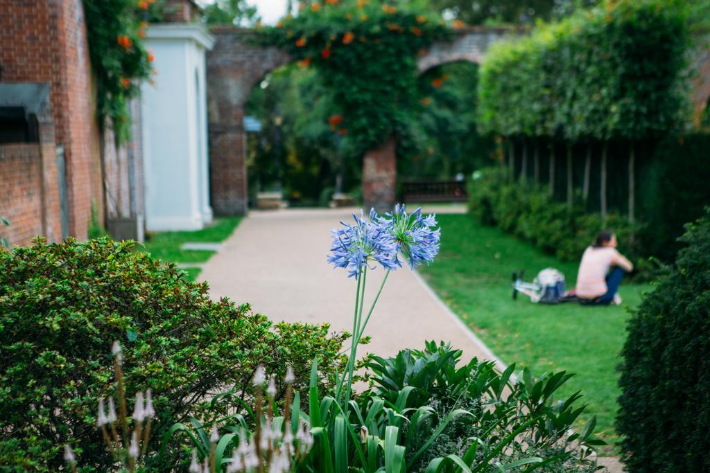 Safestay Kensington Holland Park (adults Only) Albergue